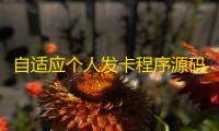 自适应个人发卡程序源码 完美版对接免签约